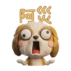 Taiwanese Shih Tzu  39