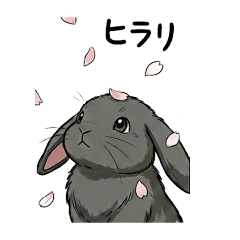 chaocro_20260203162529