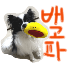 naoc1120_20260201230140