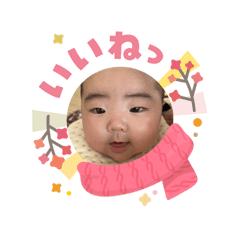 imudas_20260203163654