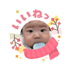 setta_20260203164038