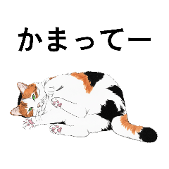 ajisai_20260203163359