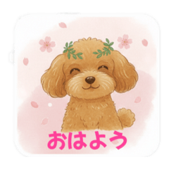 gutihasi_20260203164320