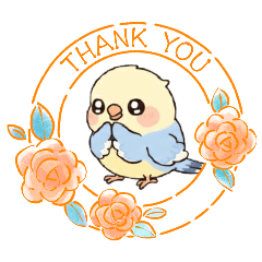 Kothin_20260203170654