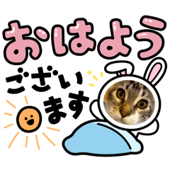 suzu_20260203171755