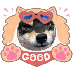 柴柴柴喔喔喔喔喔喔