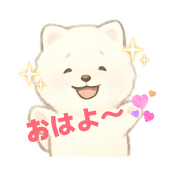 beruko888_20260203205258