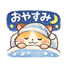 maaapopo_20260203205713