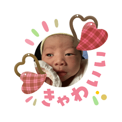 ikatako_20260203205904