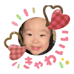 Shibachan_20260203135645