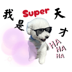 小囧丸