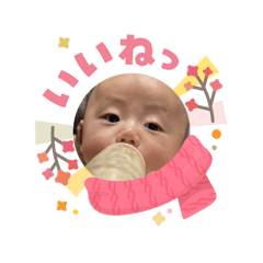 darumakodarumako_20260203143012