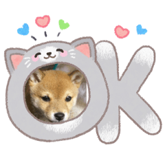 naomi_20260203172743