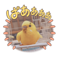 lemonosuke_20260203225328