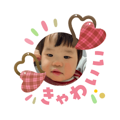 ragdollyuki_20260203172825