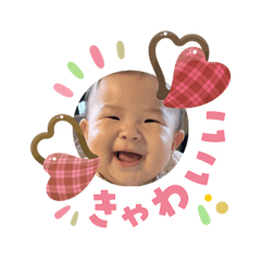 Shimonu_20260203172931ajw