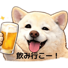 yukan_20260203173439