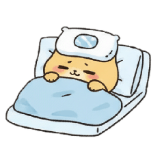 suisuisuu_20260203145032