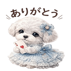 Fluffy Maltipoos stamp