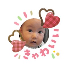 chiaki_20260203181837