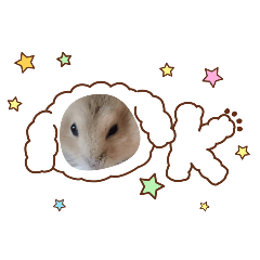 wakamama_20260203181506