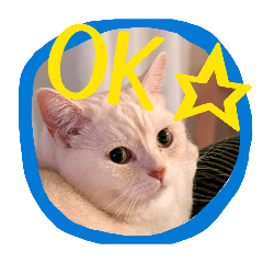 takekichi_20260203222047