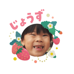 apipi_20260203153426