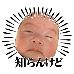 hirona_20260203154326