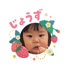 komama2