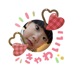 shige_20260204021546