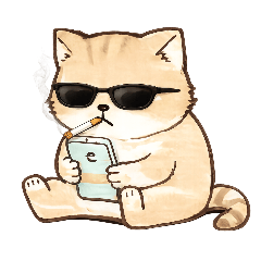 yasu!_20260203185306