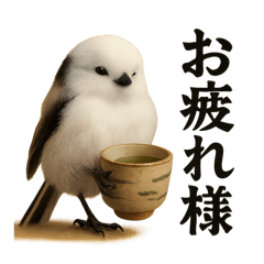 Greetings from the birds