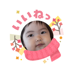 Masa6933_20260204090421