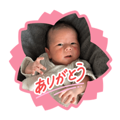 yk_20260204085005