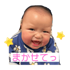 tomam_20260204090511