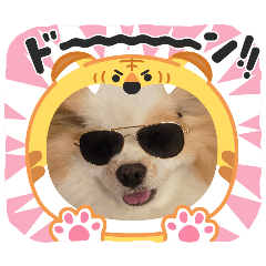 elizabeth8190_20260204091104