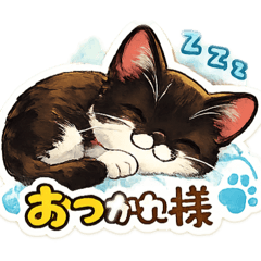 shirokuro_20260203173845