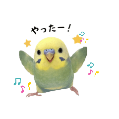 Kothin_20260203174755