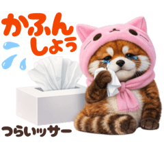 Drone Artist Nachi_20260204005626