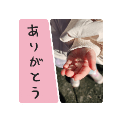 kairi_20260204103810