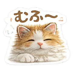 そっとそういちろう