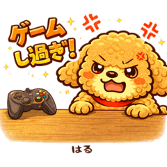 kshin_20260204105302