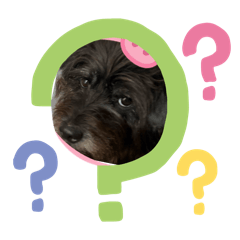 我的妹妹小棉襖