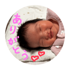 kana_20260203192534654