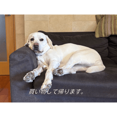 Laura_20260203192512