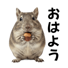 Degu Everyday Stickers
