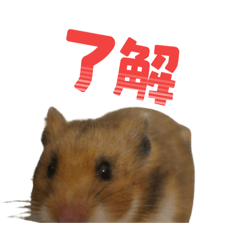 AKIHIRO_20260203193449