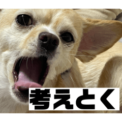 keidesu_20260204080418