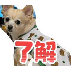 keidesu_20260204080303