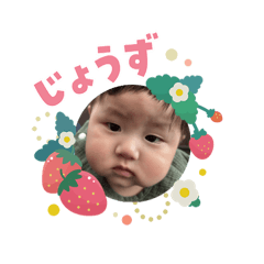m.t.moko_20260204083221
